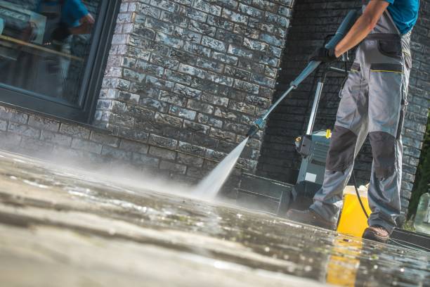Best Concrete Surface Cleaning in Alto, TX