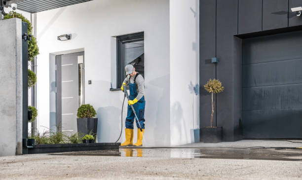 Best Brick and Stone Cleaning in Alto, TX