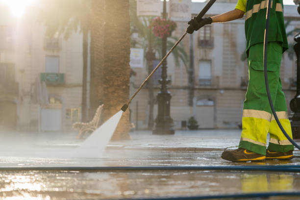 Best Vinyl Siding Pressure Washing in Alto, TX